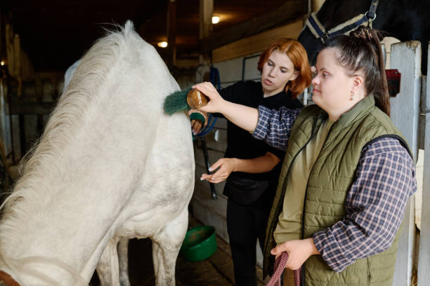 istock Brushing and Grooming Horse in Stable Together 2170700538