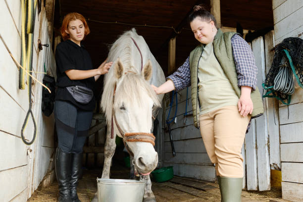 istock Grooming and Feeding White Horse Inside Stable 2170700548