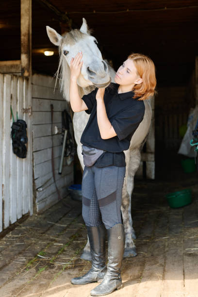istock Caring for Horse in Stable with Gentle Touch 2170700562