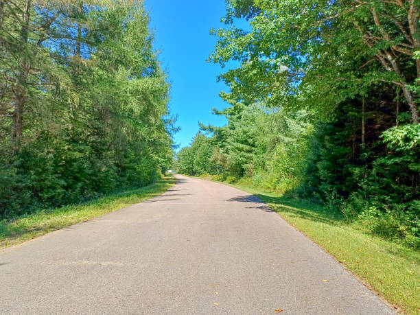 istock Street surrounded by trees with blue sky 2170701706