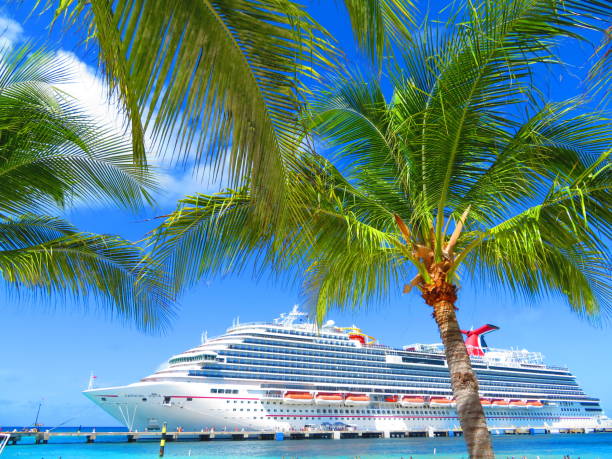 Grand Turk, Turks and Caicos Islands - April 08, 2024: Beach vegetation and palm trees with docked cruise ship appearing on turquoise sea.