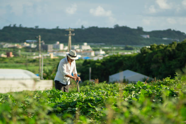 istock Young Asian generation uses tablets and cutting-edge technology in modern agriculture 2170706046