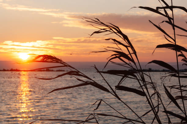 istock beautiful sunset on the beach 2170716436