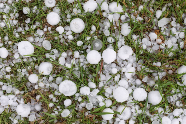 large hail after a severe thunderstorm - dolu stok fotoğraflar ve resimler