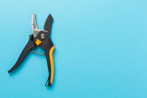 Garden shears, an essential tool for plant care.
