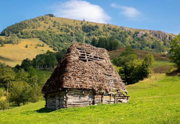 Corner of a wooden village house and forest view