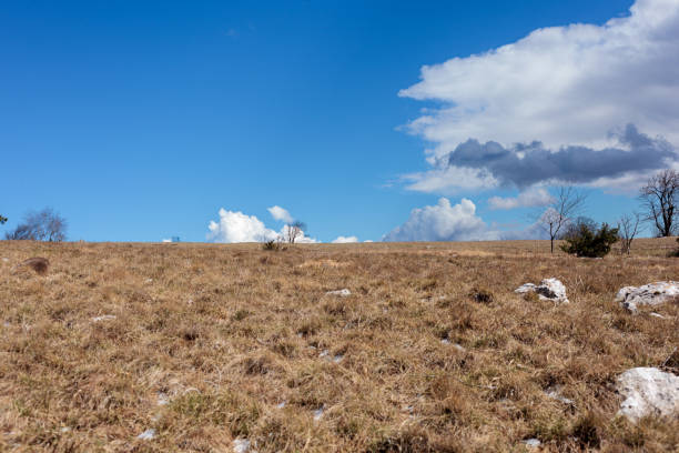 The peak of Slavnik in the spring season, Slovenia