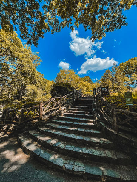 istock Shakespeare Garden in Central Park 2170745983