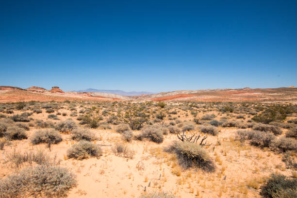 istock Valley of Fire State Park Nevada 2170747794