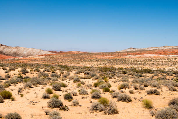istock Valley of Fire State Park Nevada 2170748090