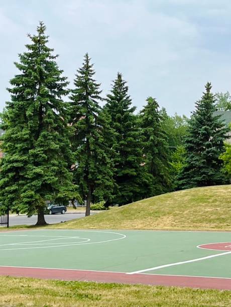 istock Basketball court at the park 2170749871