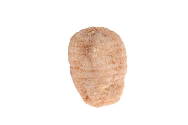istock Tianma is isolated on a white background 2170753656