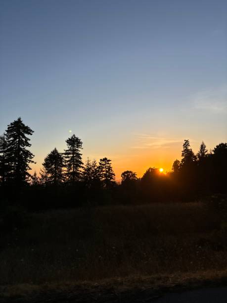 istock Sunrise Sunset on the beach with the forest behind 2170760699