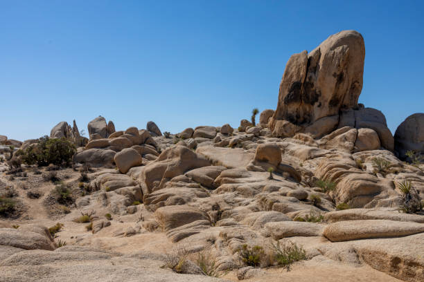 istock Desert Landscape at Joshua Tree National Park 2 2170761228