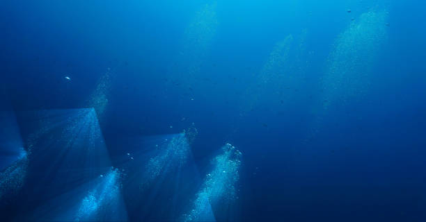 istock The universe of scuba divers - galaxy underwater 2170763260