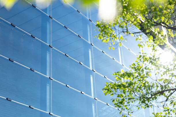 istock Green tree and glass office building. 2170765326