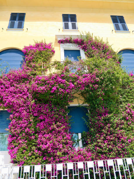 istock Gorgeous wall in Italy 2170769270