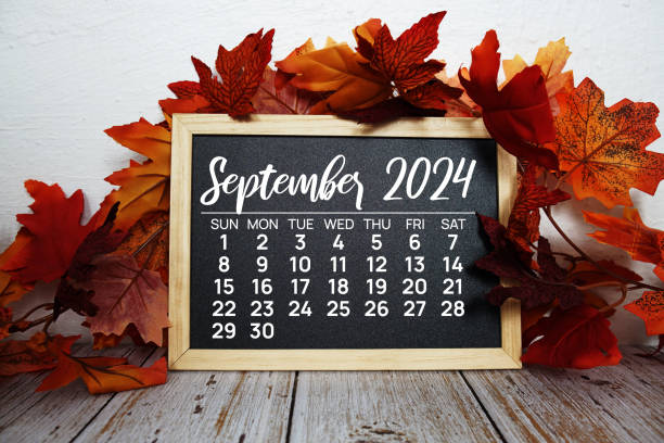 istock September 2024 monthly calendar maple leaf decoration on wooden background 2170771202