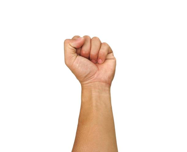 istock Male hands making fists isolated on a white background. 2170773063