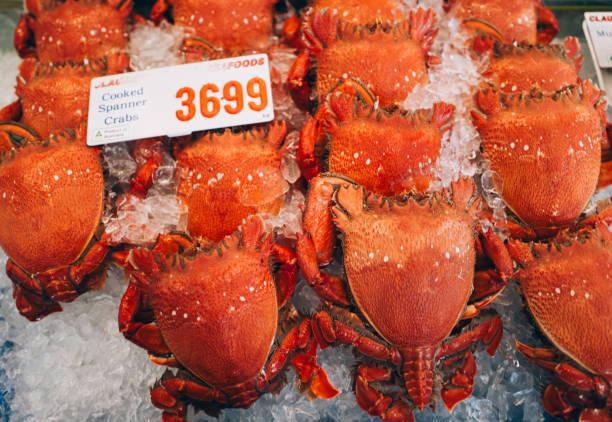 28th August 2024,Sydney Australia: Locals and tourists buying fresh seafood at Sydney Fish Market.Sydney Fish Market incorporates a working fishing port, wholesale fish market, fresh seafood retail market, a delicatessen, a sushi bar, a bakery, a gift shop, a fruit and vegetable market, a new meat deli, a beverage outlet, a seafood cooking school, indoor seating and an outdoor promenade for visitors. There are daily wholesale auctions for Sydney's seafood retailers.It is the world's third largest fish market.