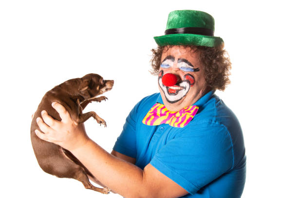 istock Funny fat clown posing on a white background. 2170775626