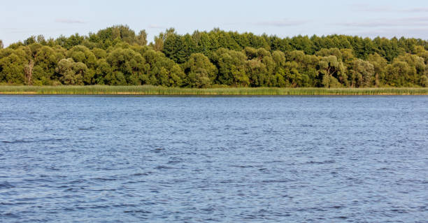 istock Green trees on the horizon on the lake shore 2170775951