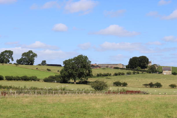 istock View across green countryside fields in summer 2170777711