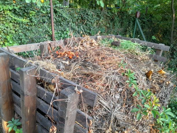 istock Compost in homemade composter in the garden 2170777885