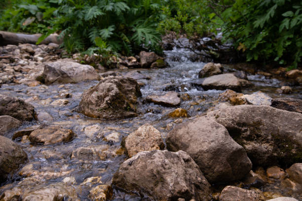 Stream flowing down from high mountains in polish Tatras