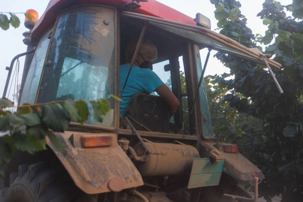 Farmer worker woman driving tractor outdoor - Farm lifestyle and harvesting concept - Focus on face