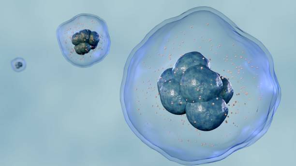 istock 3d rendering of a microscopic view of multiple cells 2170784179