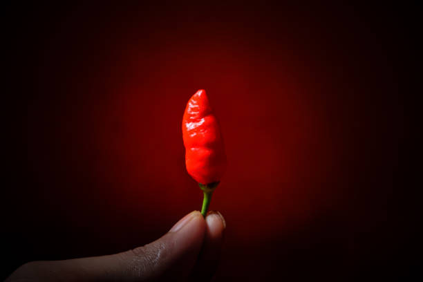 A woman, whose face is not visible, eats a red hot pepper.