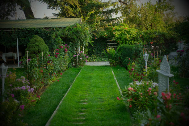 istock A garden with flowers and green grass 2170789800