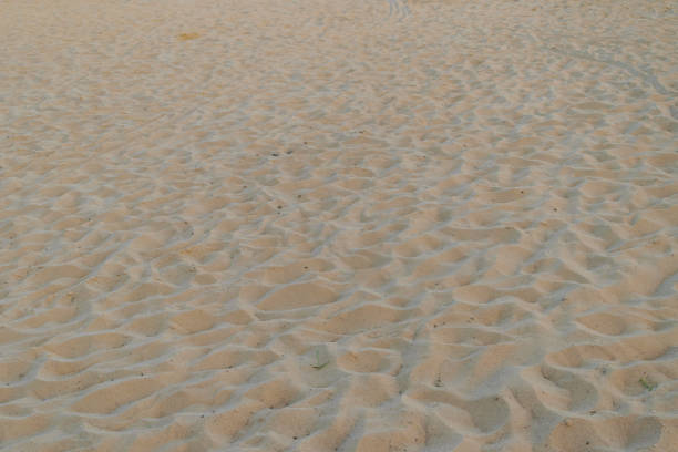 Isolated dry beach sand fills the frame