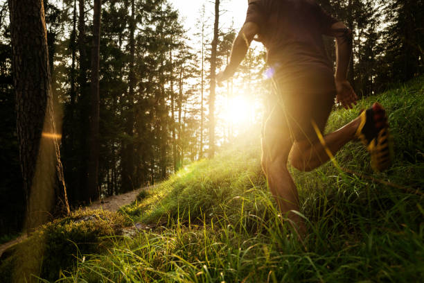 istock Man trail running in a mountain forest 2170791486