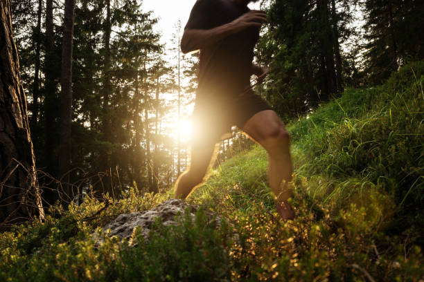 istock Man trail running in a mountain forest 2170792079