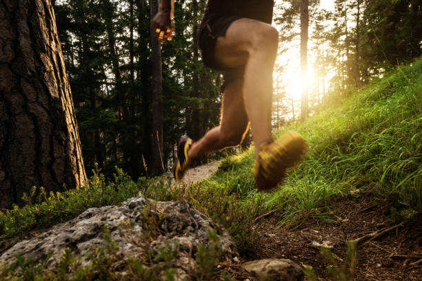 istock Man trail running in a mountain forest 2170792080