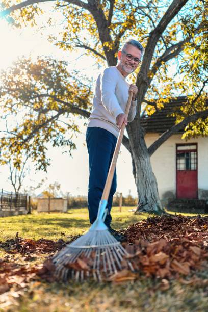 istock Man collecting fallen autumn leaves in the yard 2170802542