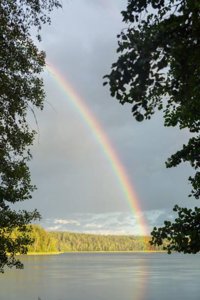 istock Rainbow over calm water of a forest lake. 2170802573