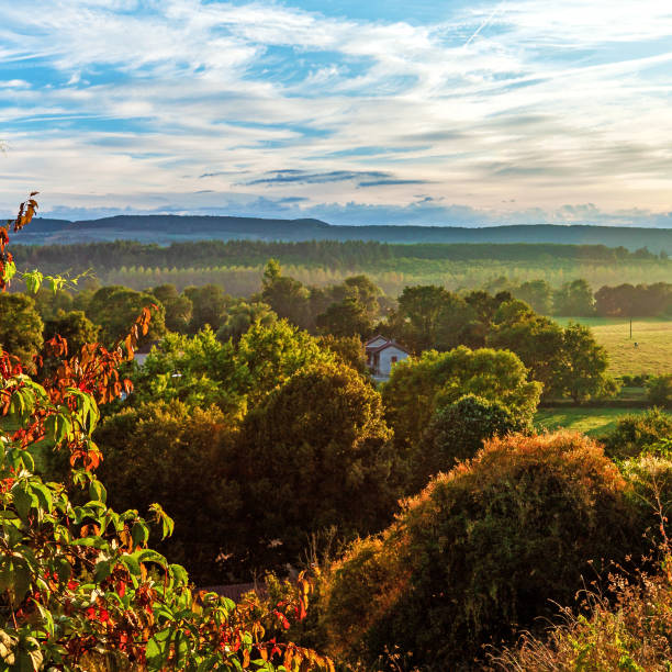 Beautiful summer landscape France Burgundy
