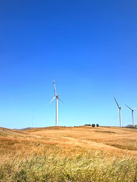 istock wind turbines in the field 2170803751