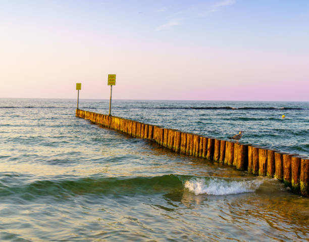 A mesmerizing view of the Baltic Sea in Kolobrzeg at sunset, with a pinkish sky above and waves crashing against the wooden breakwater