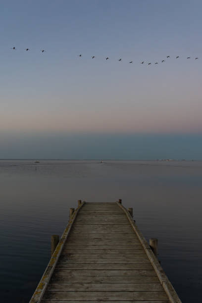 istock wood pier at sunset 2170805044
