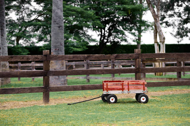 Wooden container wagon in countryside farm