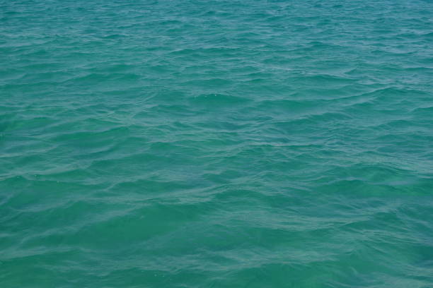 Color photo of the green waters of the Aegean Sea near the coastline of Koufonisi on  a sunny summer day