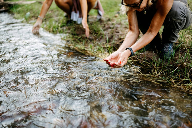 Friends enjoy nature in a hiking adventure