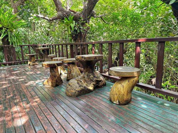 istock wooden chair table 2170813130