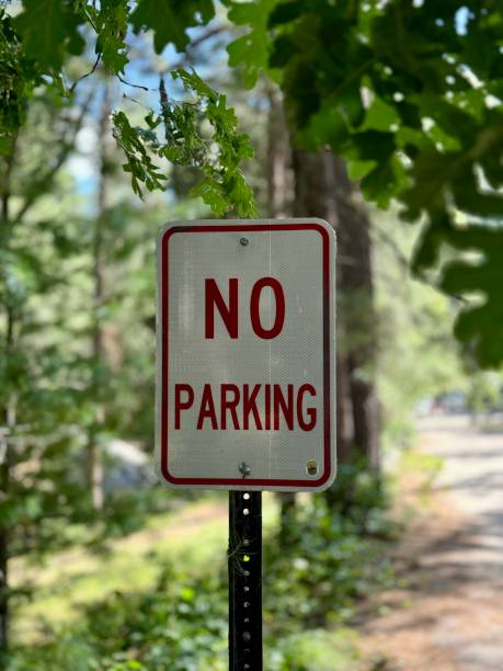 istock Red and white no parking sign in forest 2170823876