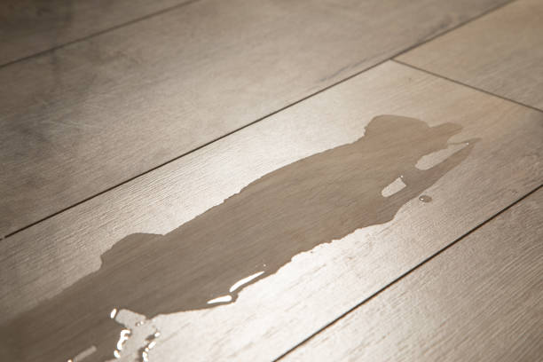 istock Drops of water on laminate floor. 2170826316