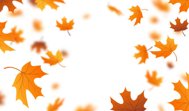 bildbanksillustrationer, clip art samt tecknat material och ikoner med falling autumn leaves background - autumn-leaves